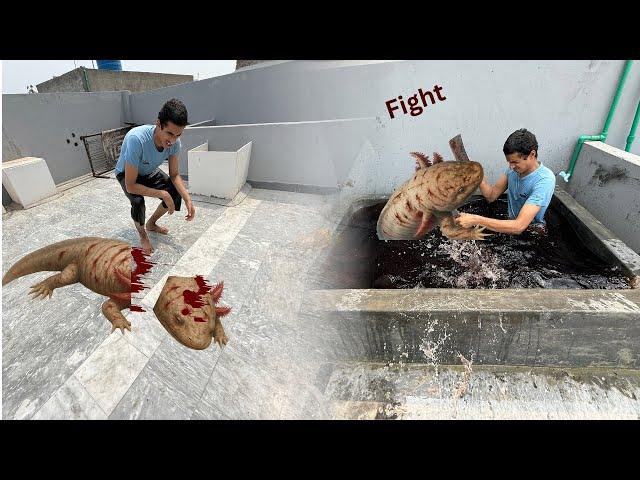 Jaan Par Khail Ka Issa MAar Diya