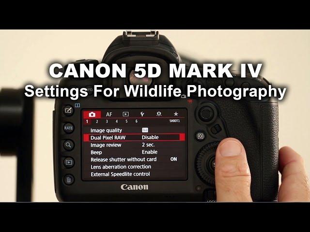 Canon 5D Mark IV - Settings For Wildlife Photography