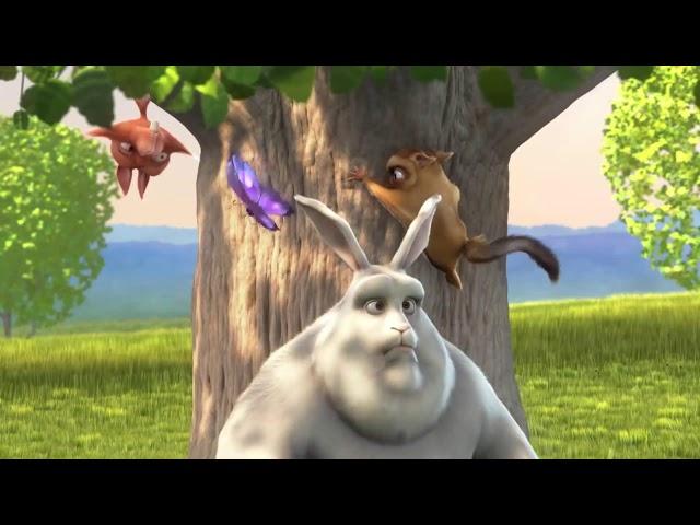 Anar Aliyev Live Stream