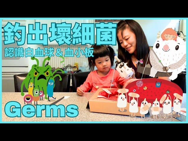 All about Germs for Kids in Chinese 釣出壞細菌 | 認識🩸白血球 血小板 免疫系統 |  生病怎麼辦 | STEAM 中文