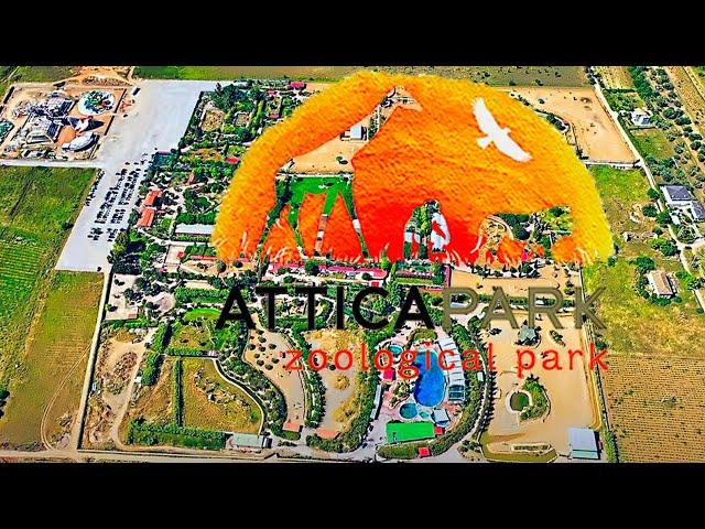 Attica Zoological Park Athens, Greece 4K