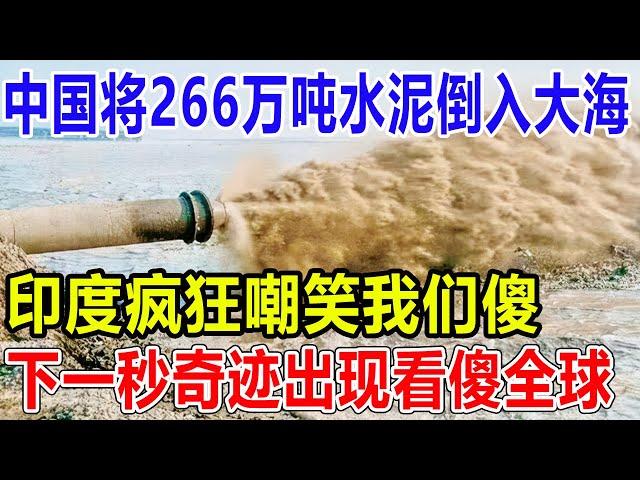 中国将266万吨水泥倒入大海！印度疯狂嘲笑我们傻，下一秒奇迹出现看傻全球！