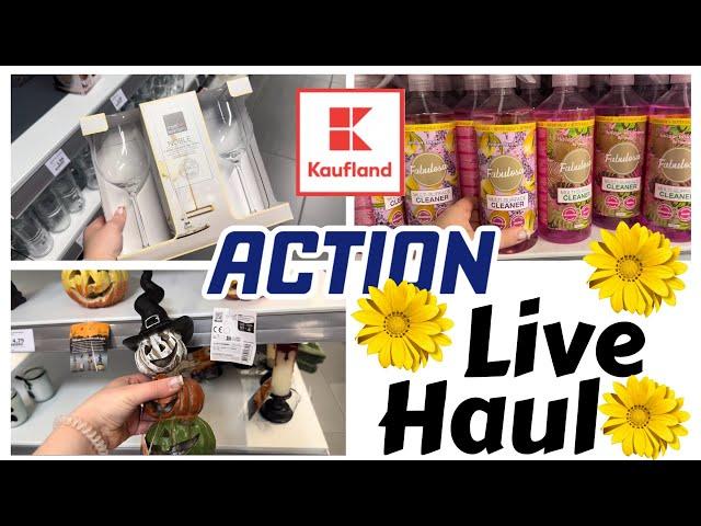 ACTION und KAUFLAND Haul  // August 2024 // FOOD HAUL // alinaBerry