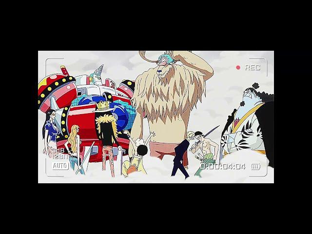 All beast in one frame | ONE PIECE |