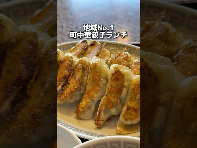 The No.1 local Chinese dumpling lunch