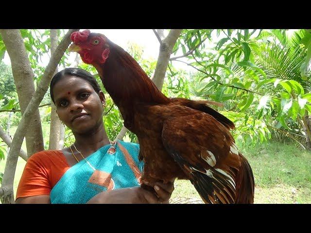 Delicious Country Chicken Gravy | Nattu Kozhi Gravy - Kulambu   | My country Foods ,