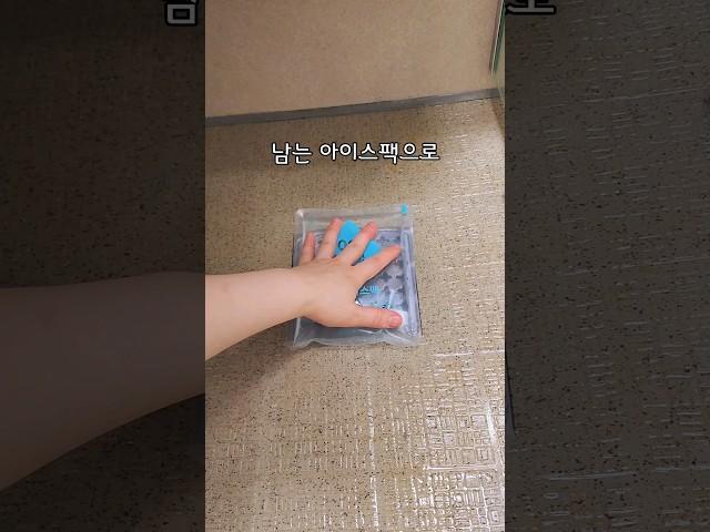 우리집에 초파리가 없는 이유 4가지  #초파리퇴치 #살림팁 #벌레차단