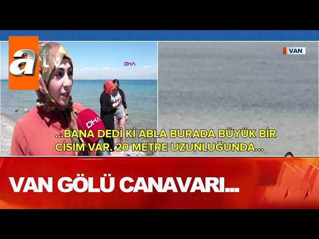 Van gölü canavarı yine görüldü! Boyu 20 metre, sırtı dikenli