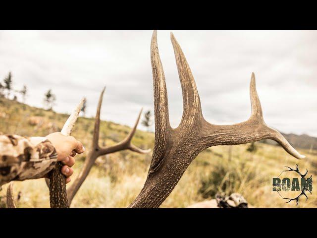 2023 Wyoming Archery Elk Hunt (Big Bull Down!)