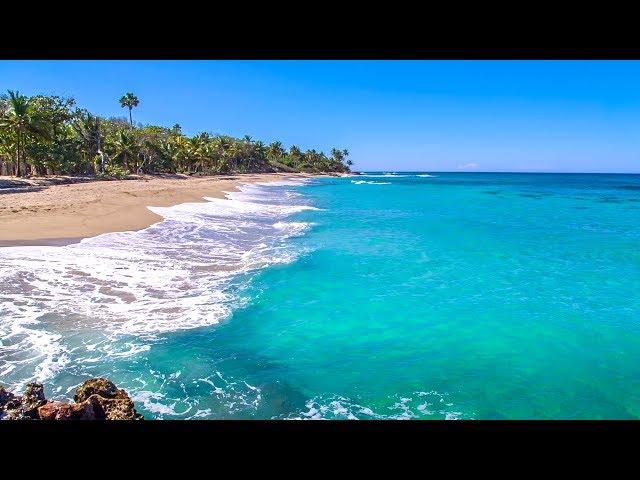 Dominican Beach with Waves Rolling - Natural Background With Ocean Sounds