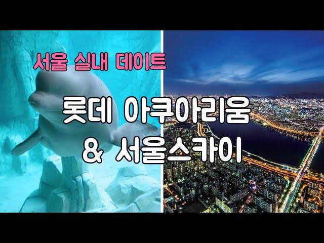 서울 실내 데이트 추천 롯데월드 아쿠아리움  + 서울 스카이 전망대