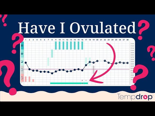 Have I Ovulated Yet? (Real-life BBT Chart Examples)