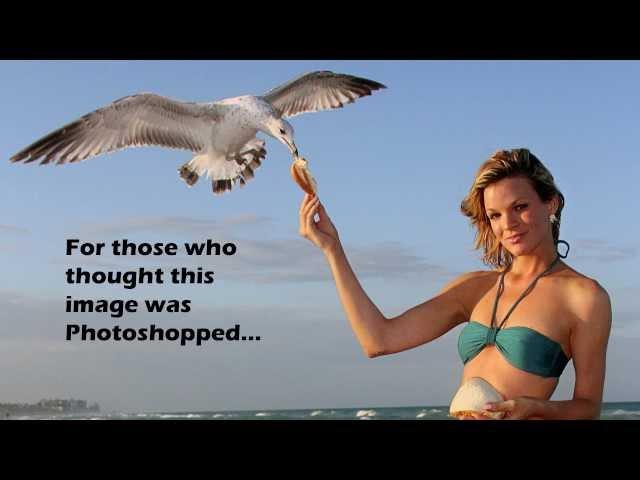 Bread, Birds, Beach, Bikini and D'Anna