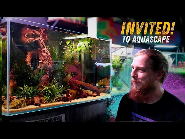 My aquarium is now in an Aquascaping store!!! The Aquatic store Bristol.