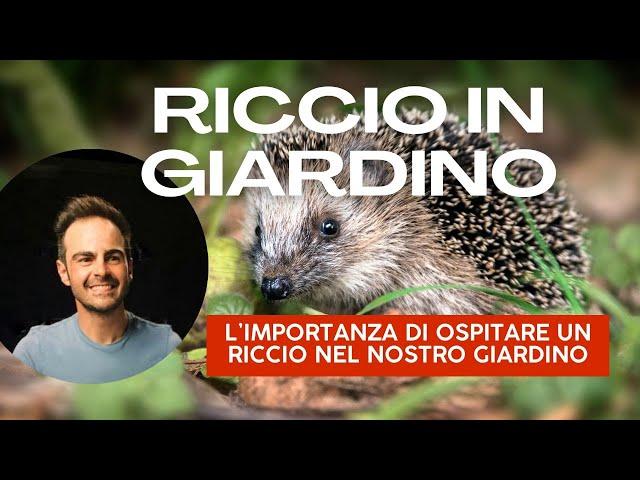 Ricci in giardino: scopri perché ne hai bisogno!