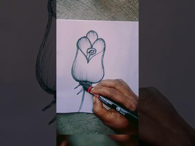 How To Draw Wonderful Flower #shorts #ytshorts #Drawing Art and craft by W.B