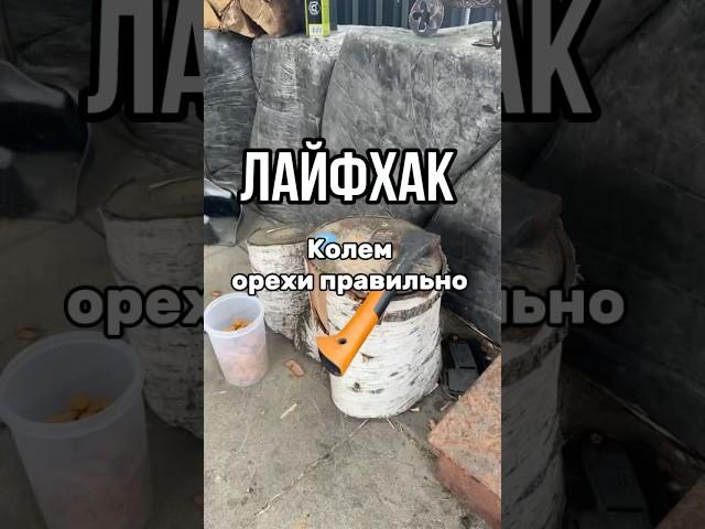 Колем орехи. Лайфхак