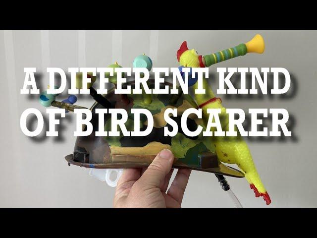 A Different Kind of Bird Scarer