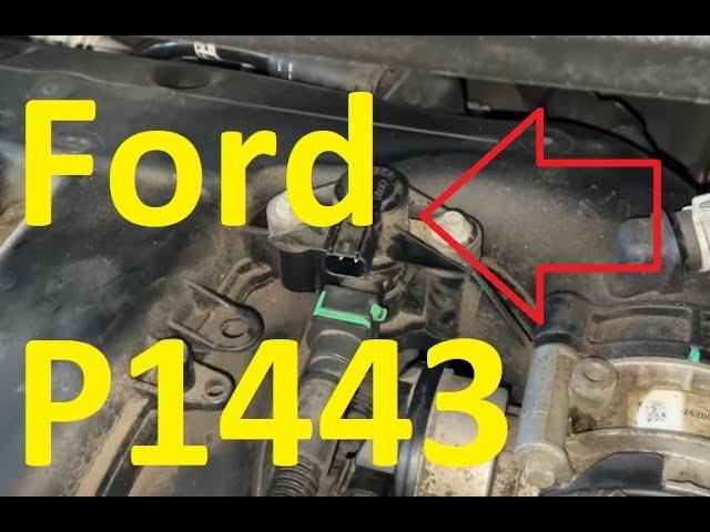 Causes and Fixes Ford P1443 Code: Evaporative Emission Control System Control Valve