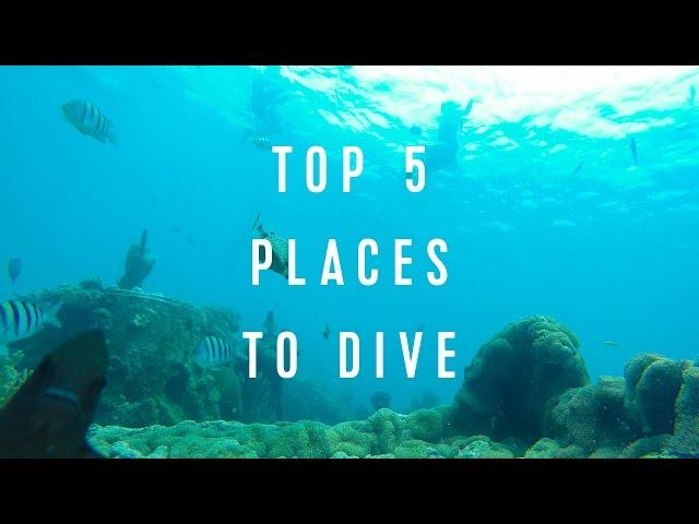 Royal Caribbean Top 5: Places to Dive