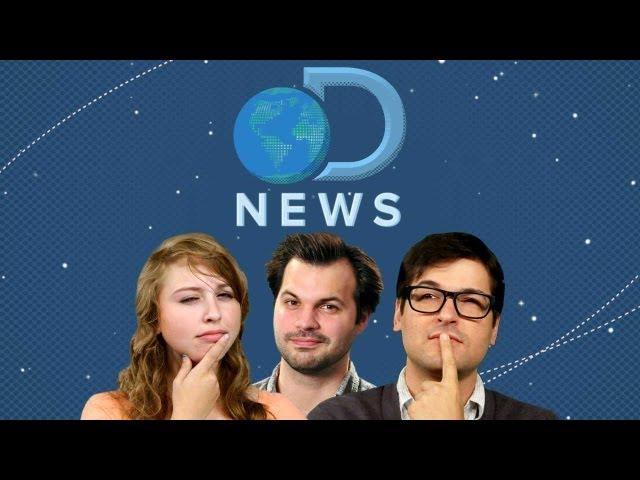 DNews Starts Today!