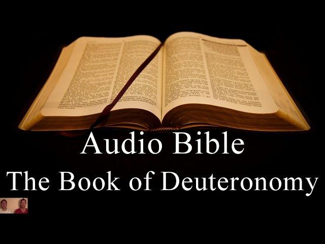 The Book of Deuteronomy - NIV Audio Holy Bible - High Quality and Best Speed - Book 5