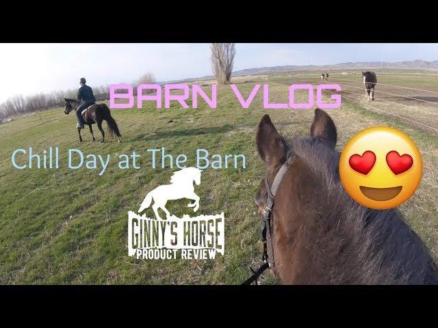 Calming Barn VLOG- Chill Day With The Horses