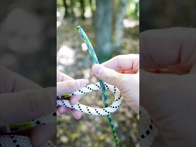 MUST KNOW KNOT: Tying the Sheet Bend #SHORTS