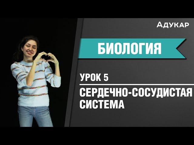 Анатомия. Сердечно-сосудистая система | Биология ЦТ, ЕГЭ