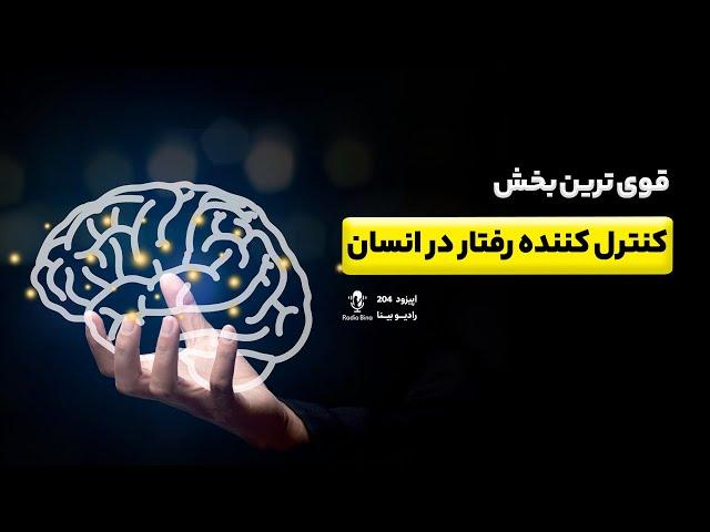 قوی ترین بخش کنترل کننده رفتار در مغز انسان | habenula function