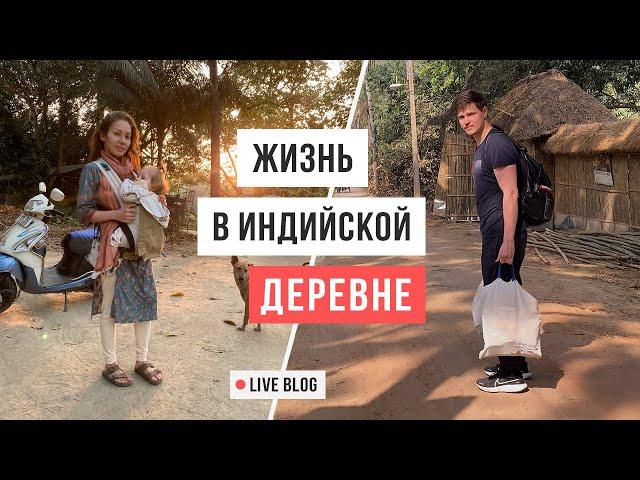 VLOG 29. Маяпур, Индия: есть ли жизнь в индийской деревне / Аскеза в кедах