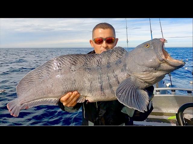 Deep Sea Fishing in the Arctic Circle - Huge Cod, Coalfish, Wolffish and Halibut | The Fish Locker