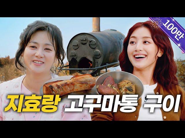 Jihyo | TWICE's Contract Renewal, New Song Tarot Card Readings, Jihyo's Campsite [Naraesik] EP.12