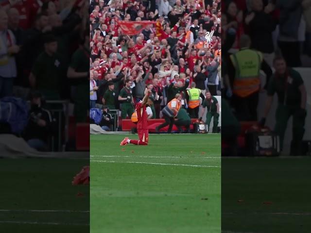 The MOment 