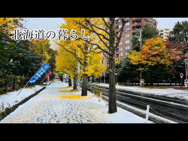 北海道の暮らし！今シーズン初めての積雪