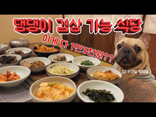 꼭 가봐야 하는 완전 고급진 애견동반식당! ㅣVisiting a pet friendly Korean restaurant with my Frenchies