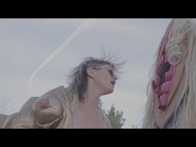 PEACHES 'DUMB FUCK' -  Official Video