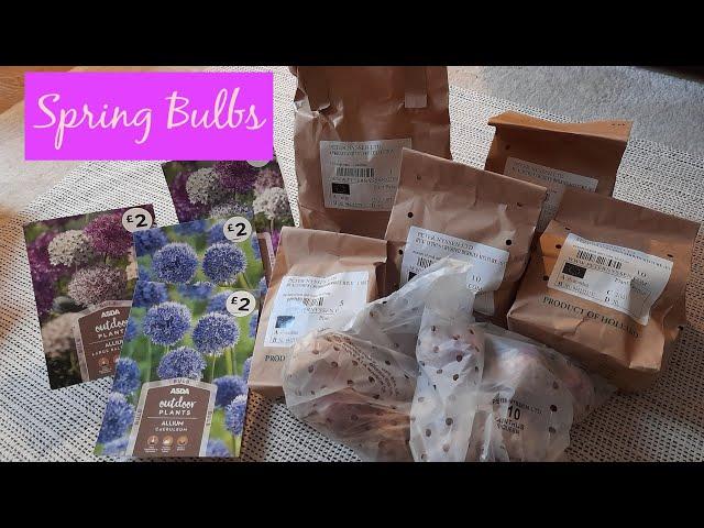 Spring Bulb Haul - Peter Nyssen & Asda - Hyacinths, Tulips, Alliums 