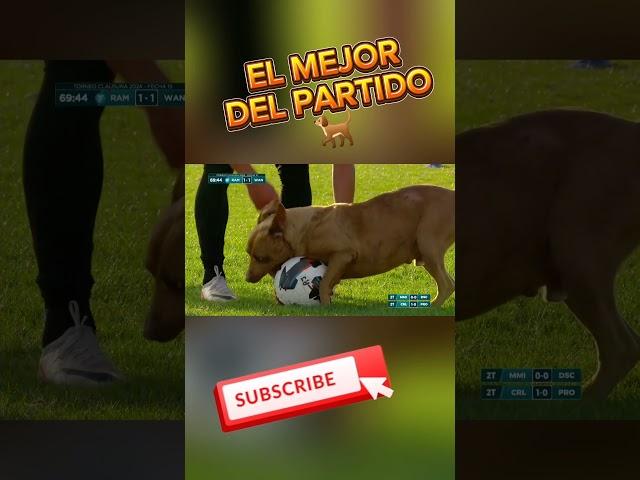 El mejor del partido  #futbolinternacional #futbolinternacional #futboleros #futboltico