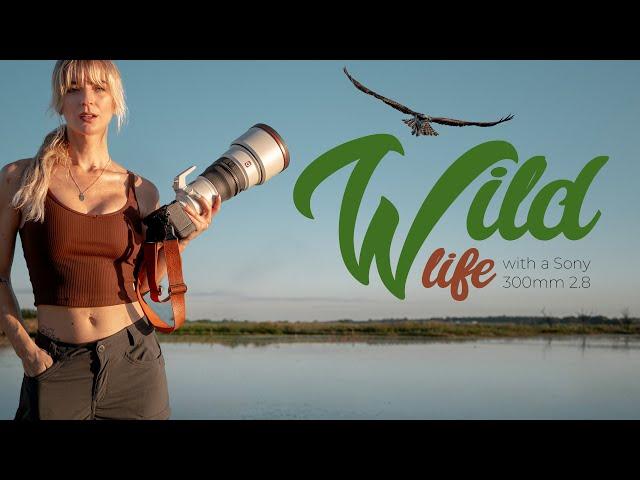 Wildlife Photography with Sony 300mm 2.8 GM lens | First Impressions