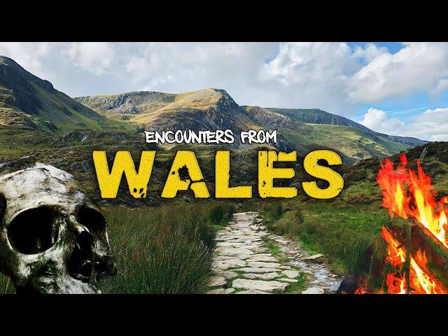 Totally STRANGE and BIZARRE Encounters From WALES That I know you'll LOVE