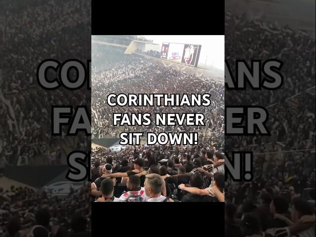 Corinthians Fans: Never Sitting, Always Passionate!  | The Spirit of Brazilian Football