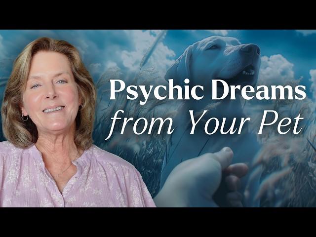 Having Psychic Dreams About Your Pet? Find Out Why! | Tami Hendrix