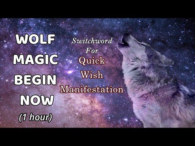 Switchword for Quick Wish Manifestation | Wolf Magic Begin Now (1 hour)