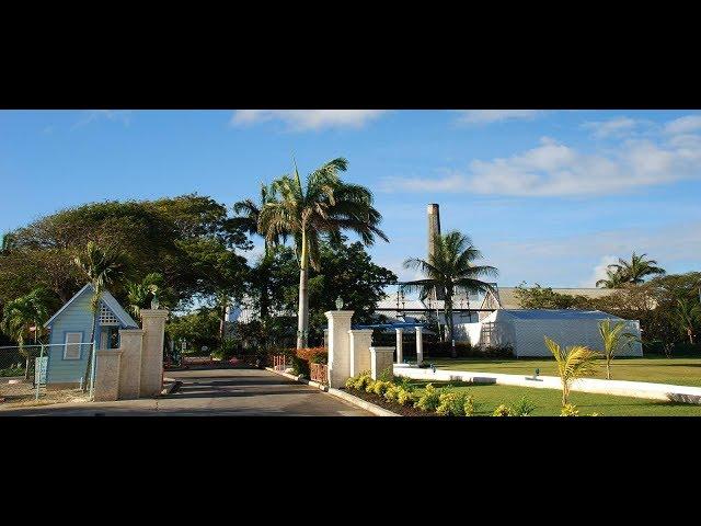 Four Square Rum Distillery Barbados   Rum Tasting and Tour