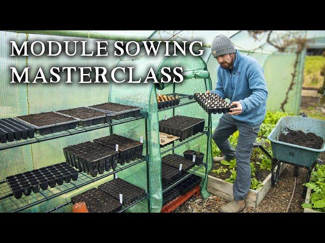 How to Sow Seeds in Modules the No-Nonsense Way