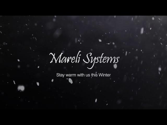 Merry Christmas from Mareli Systems