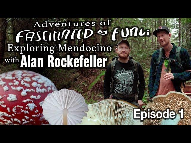 Adventures of Fascinated By Fungi: Exploring the Mendocino Coast with Alan Rockefeller (Episode 1)