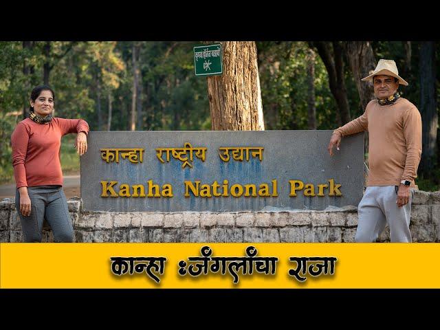 कान्हा जंगल सफारी | Kanha National Park l Kanha Tiger Reserve | kanha Wildlife  4k Video