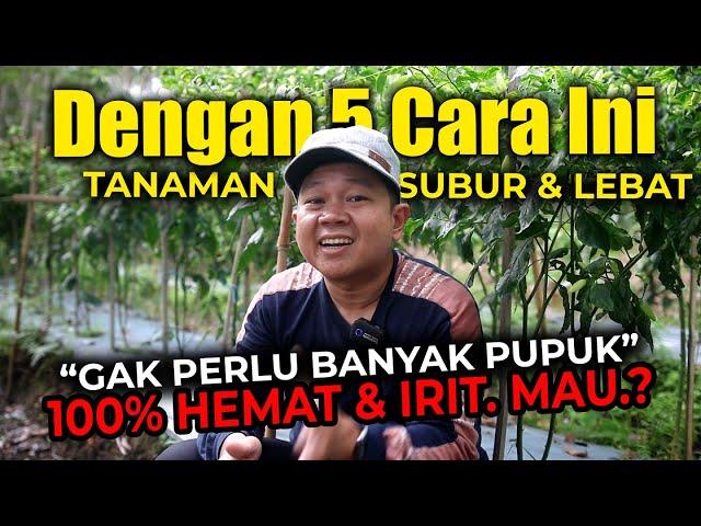 DENGAN 5 CARA INI, TANAMAN SUBUR DAN BERBUAH LEBAT TIDAK PERLU BANYAK PUPUK. MAU?